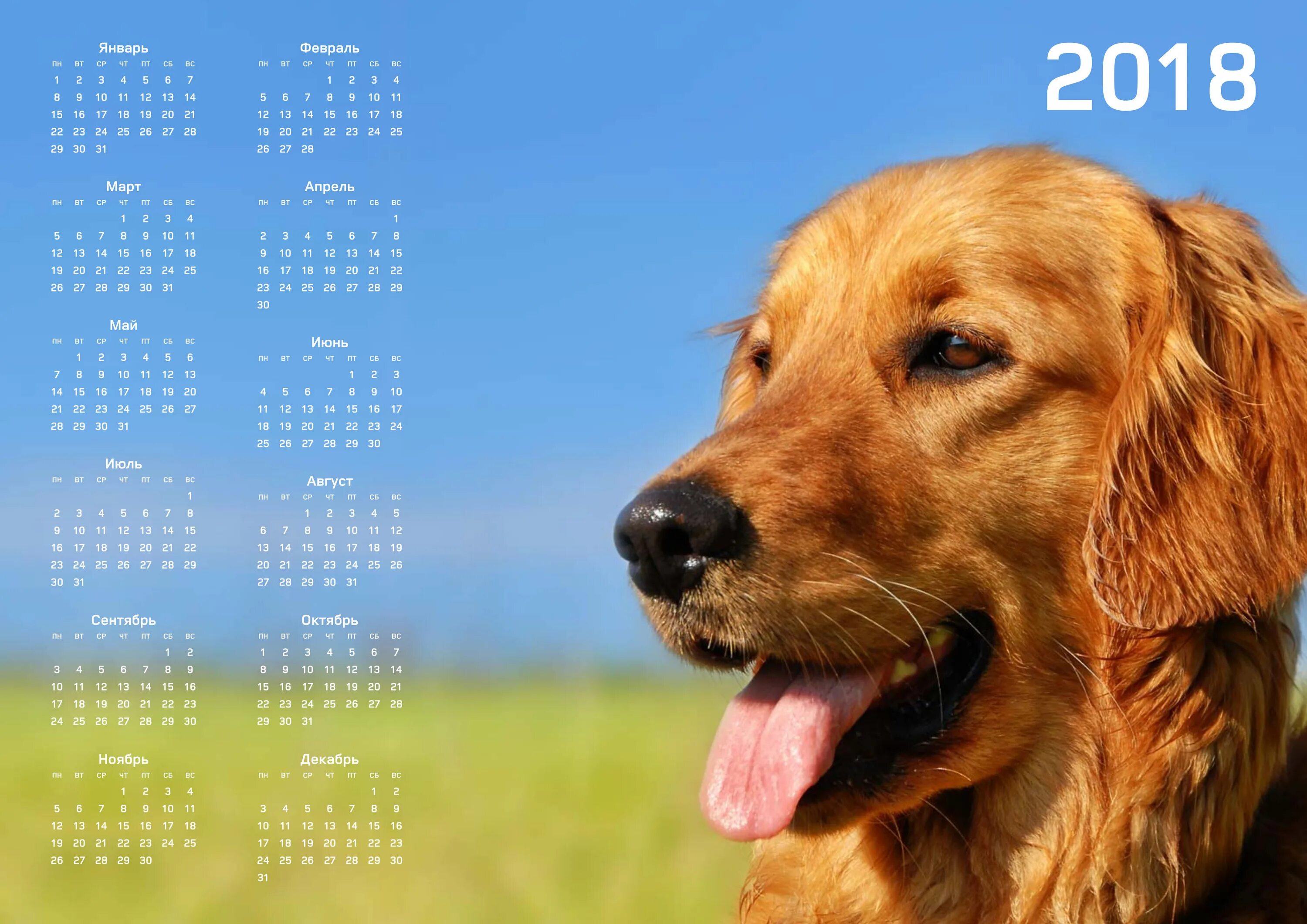 Золотистый ретривер зимой. Палевая собака. Художественные фото собак. Собачка мультяшная. Лабрадор голден ретривер.