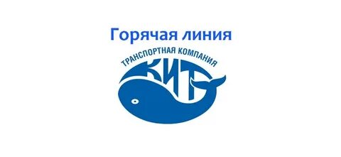 Кит казань телефон