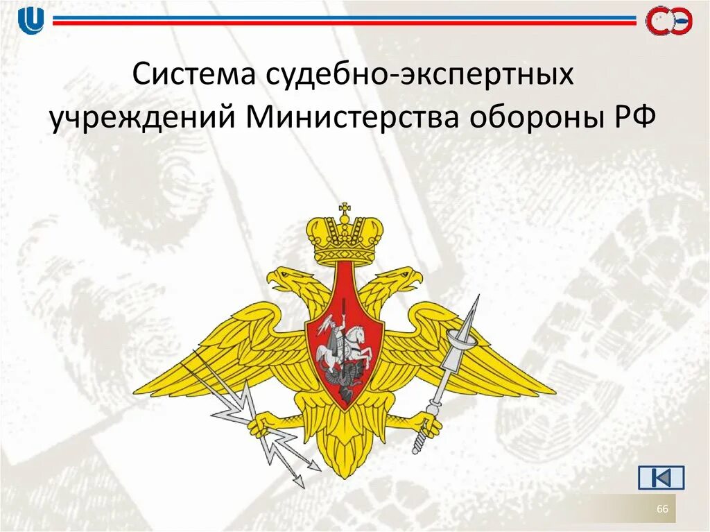 Судебно экспертное учреждение рф. Система судебно-экспертных учреждений Министерства обороны РФ. Экспертные учреждения Министерства обороны РФ,. Судебно экспертные учреждения Минобороны. Функции судебно-экспертных учреждений Министерства обороны РФ.