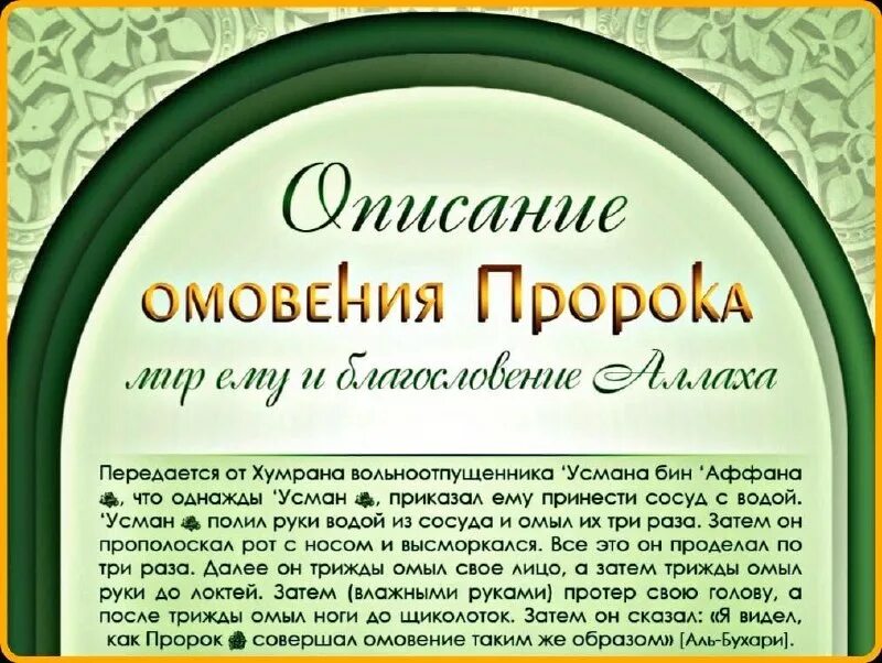 омовение пророка мухаммада. омовение пророка мухаммада. омовение пророка мухаммада. малое омовение вуду. сунан ибн маджа ибн маджа книга.