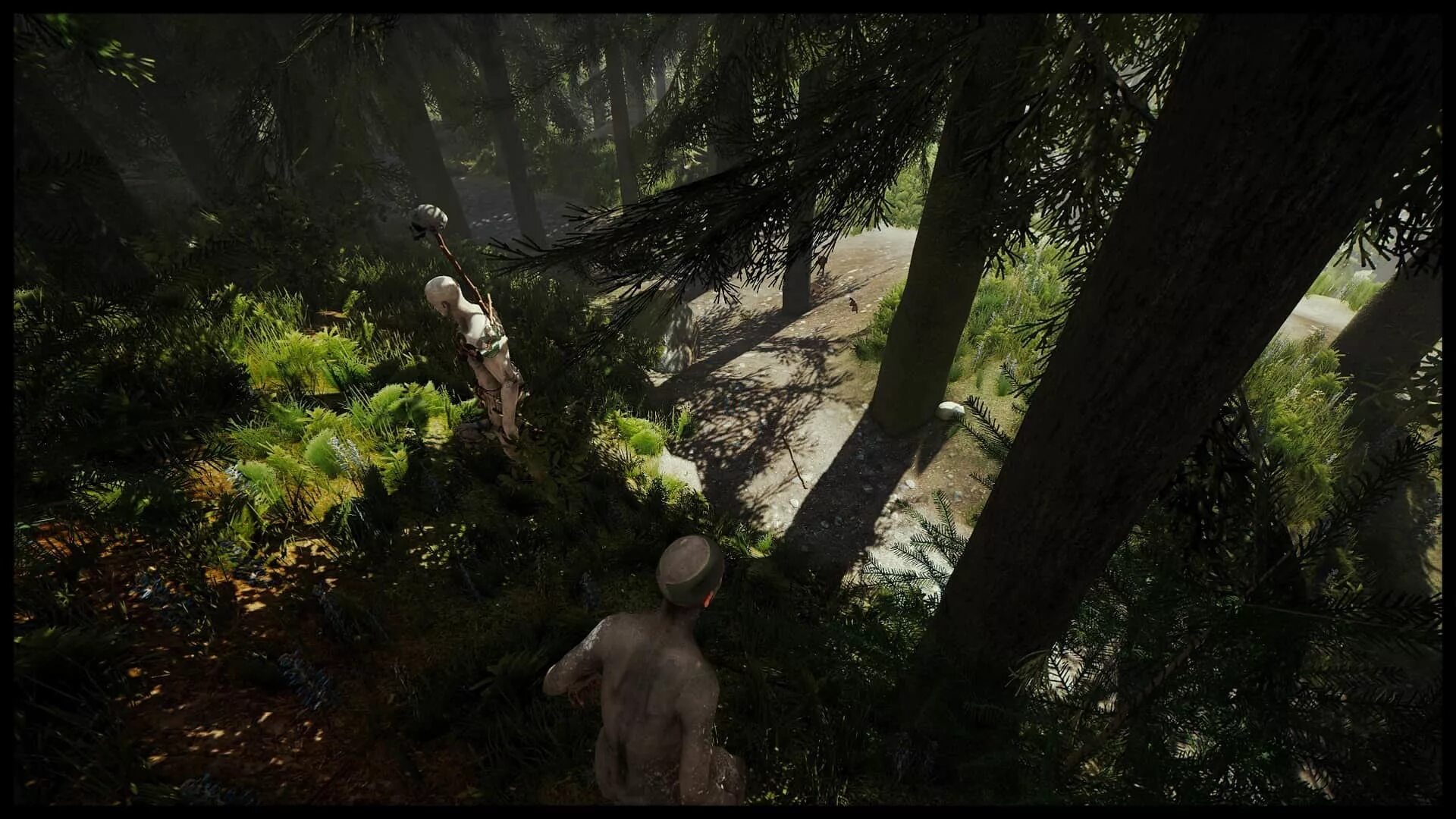 The forest дата