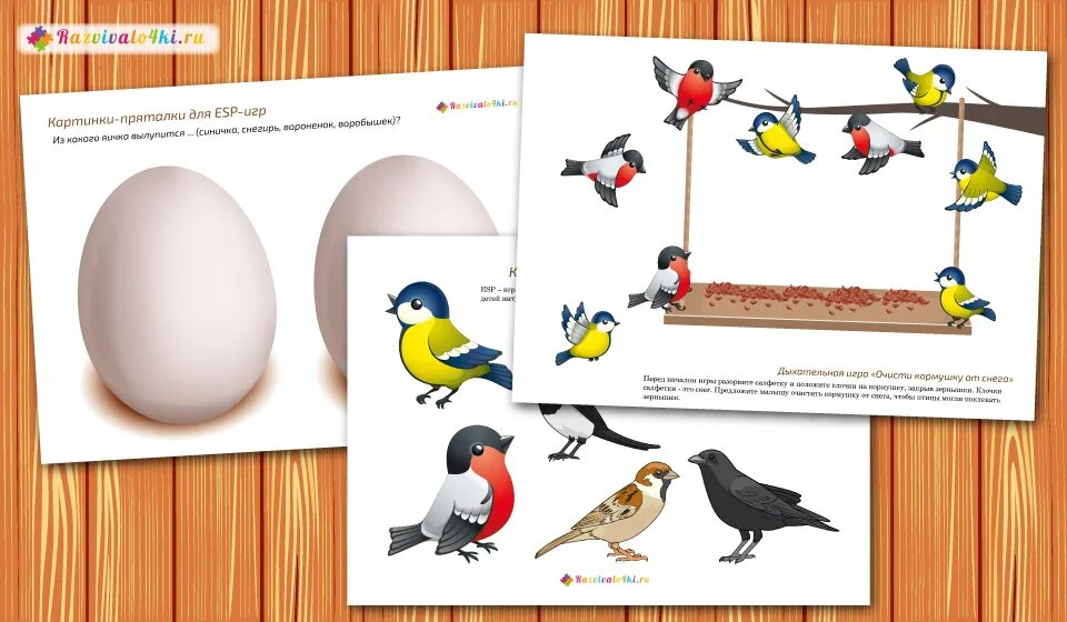 раннее развитие птицы. развитие птиц. птицы раннее развитие. зимующие птицы дидактические игры для детей. тематическое занятие птицы.
