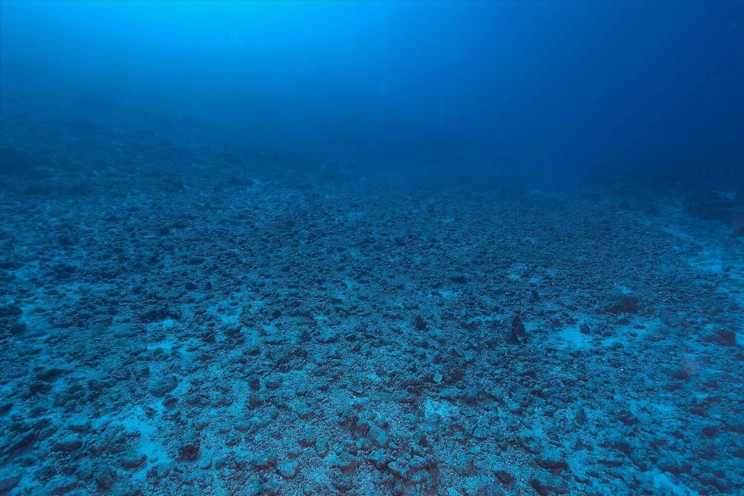 Толща воды в океане. Дно океана. Морское дно. Море глубина. Океаны. Глубина.