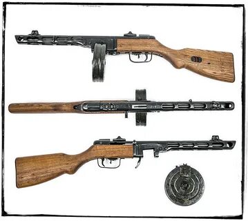 41 вид