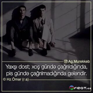 Pis dost