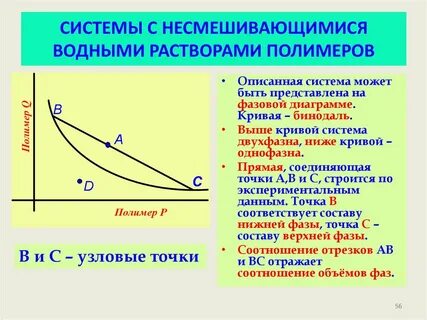 Кривая система