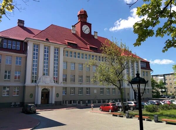 Жители области смогут получить образование в лучших вузах мира