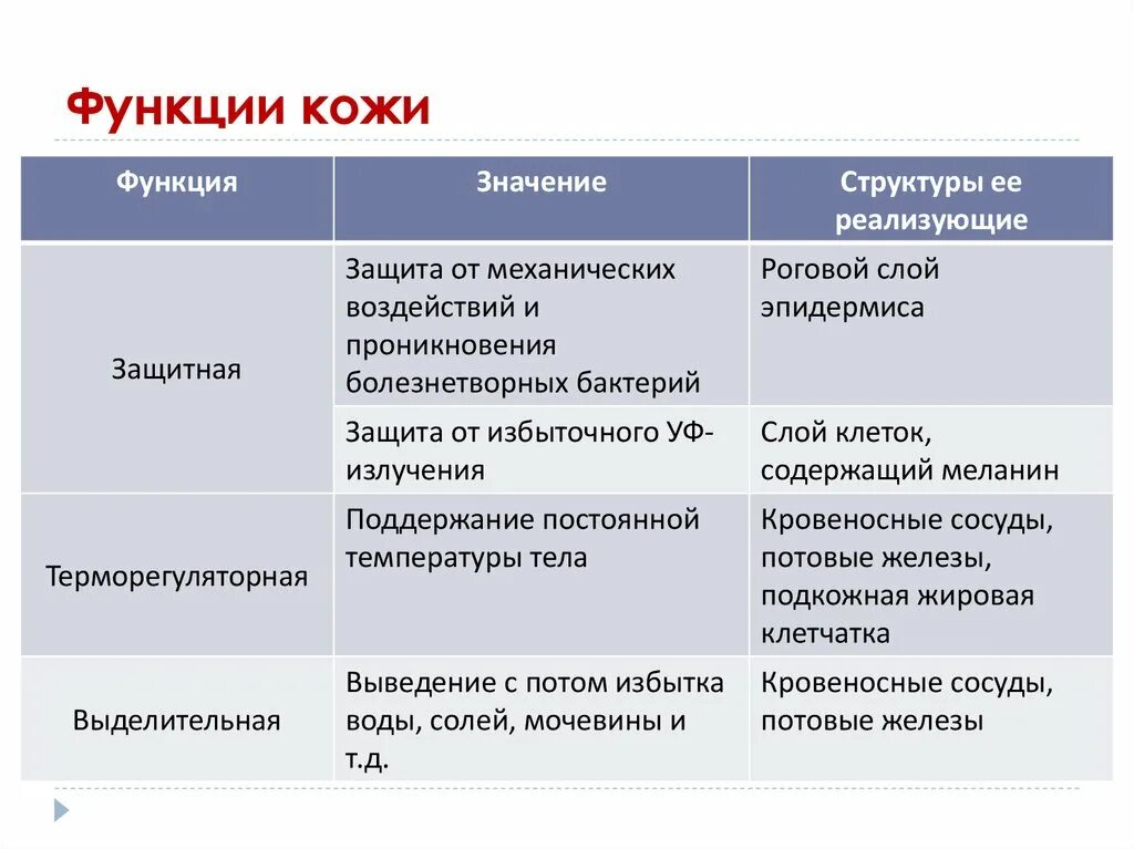 Функции кожи таблица 8 класс биология. Слои кожи строение и функции таблица. Таблица строение кожи слои кожи особенности строения функции. Таблица слой кожи особенности строения функции. Таблица функции кожи 8 класс биология.