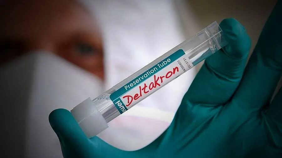 Скотт хесс. Хесе родригес. Новый ковид хес. Новый ковид хес. Новый ковид хес.
