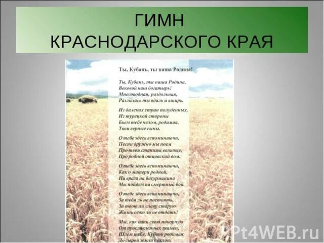 Гимн Краснодарского края. Гимн Краснодарского края текст. Гимн Краснодарского края слова. Ты Кубань ты наша Родина слова.