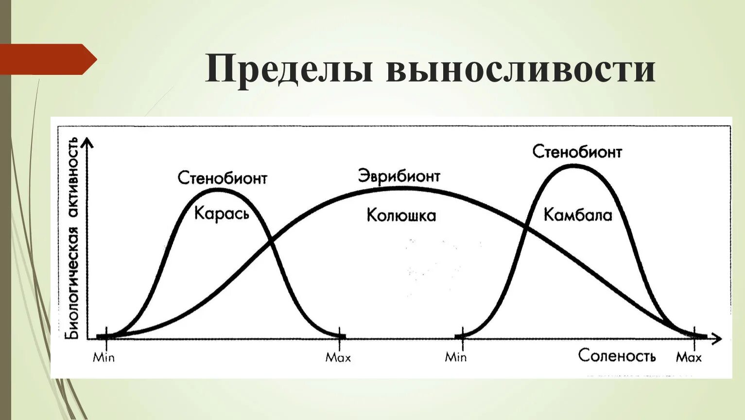 Диапазон выносливости это. Эврибионты и стенобионты график. Предел выносливости. График предела выносливости.