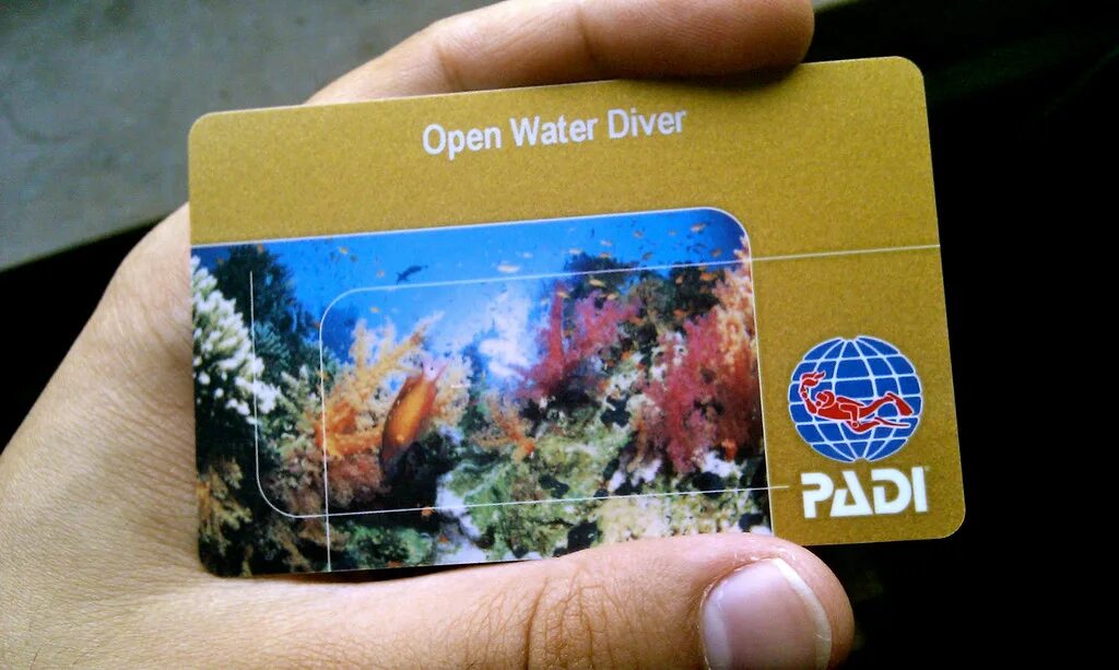 Padi open. Open Water Diver сертификат. Сертификат Padi open Water. Сертификат Пади дайвинг. Padi OWD сертификат.