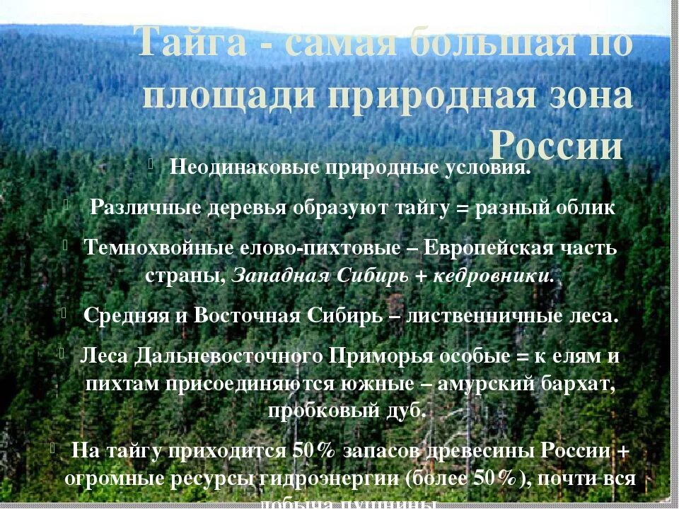 Тайга сообщение 4 класс по окружающему миру. Тайга описание природной зоны. описание тайги. описание природных условий тайги. описать природную зону тайга.