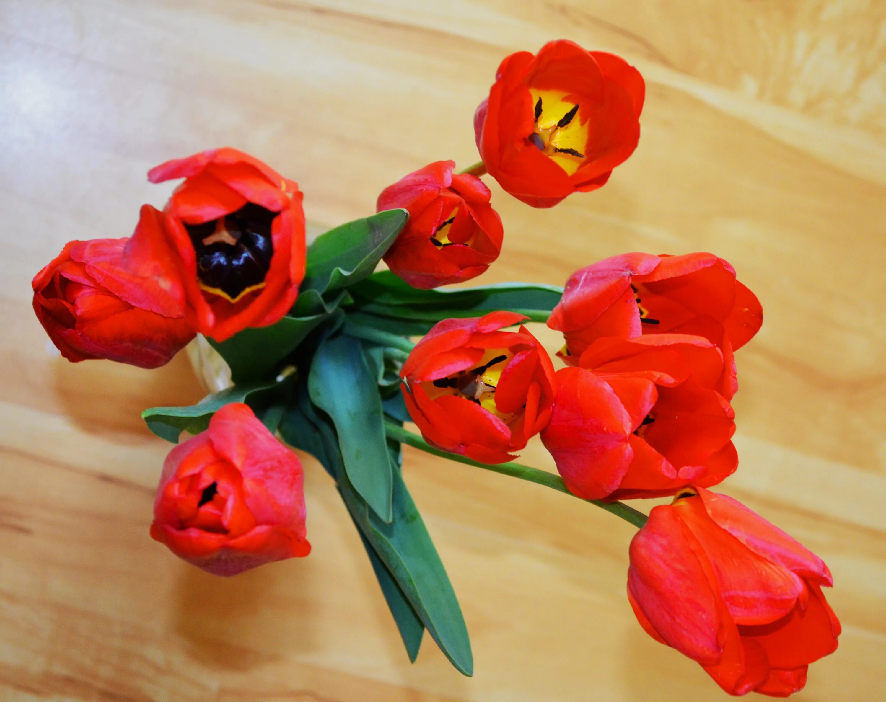 Букет тюльпанов. Красные тюльпаны. Какие тюльпаны дарить маме