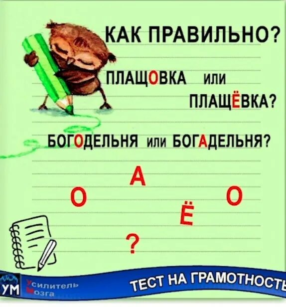 Тест на грамотность. Тест на грамотность по русскому языку. Усилитель мозга тест на грамотность. Усилитель мозга.