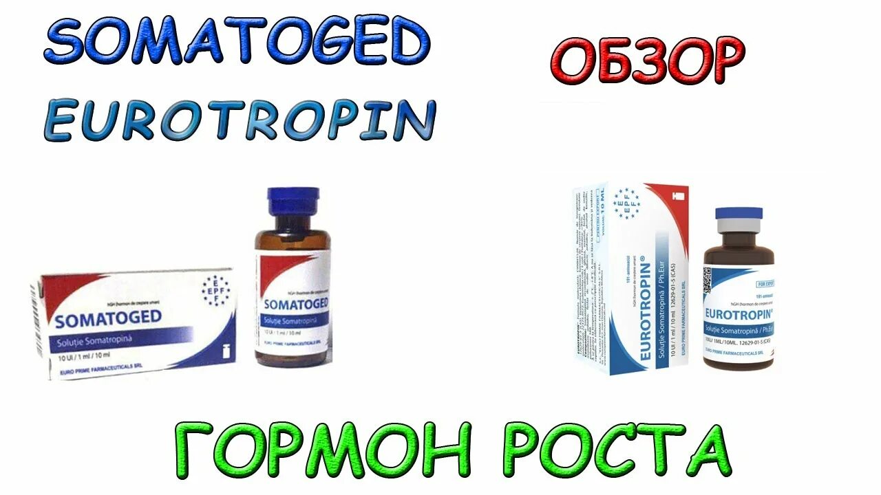 Гормон роста запрещен. ЕПФ гормон роста. Somatoged гормон роста. ЕВРОТРОПИН гормон роста.