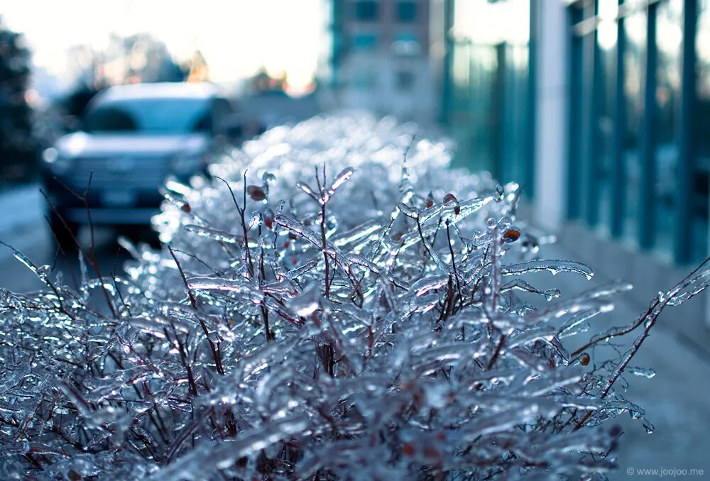 морозный дождь. ледяной дождь 2011. ледяной дождь декабрь 2010 москва. ледяной дождь. ледяной дождь.