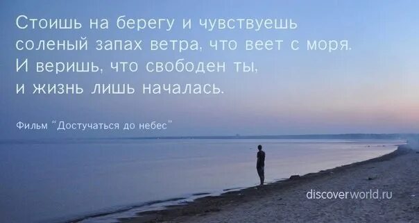 Чувствовать запах моря. Стою на берегу моря цитаты. Достучаться до небес цитата о море. Запах моря цитаты. Достучаться до небес стих про море.