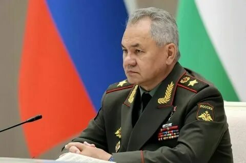 Шойгу про мобилизацию 2024 году