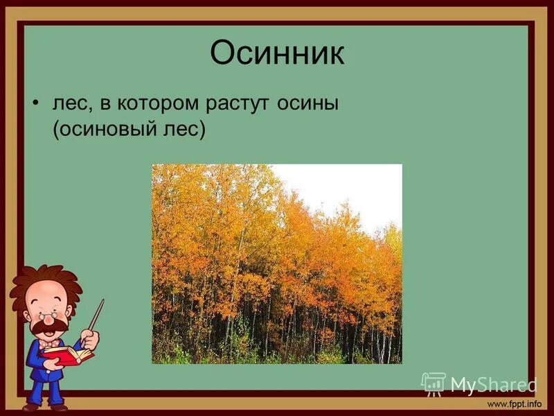 Лесные слова 3 класс. Слово лес. Осинник лес. Осинник это лес в котором растут осины. Составить предложение лесная чаща