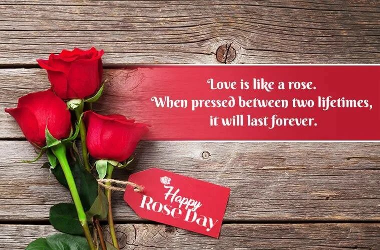 Хэппи Роуз. Rose Day. Send wish