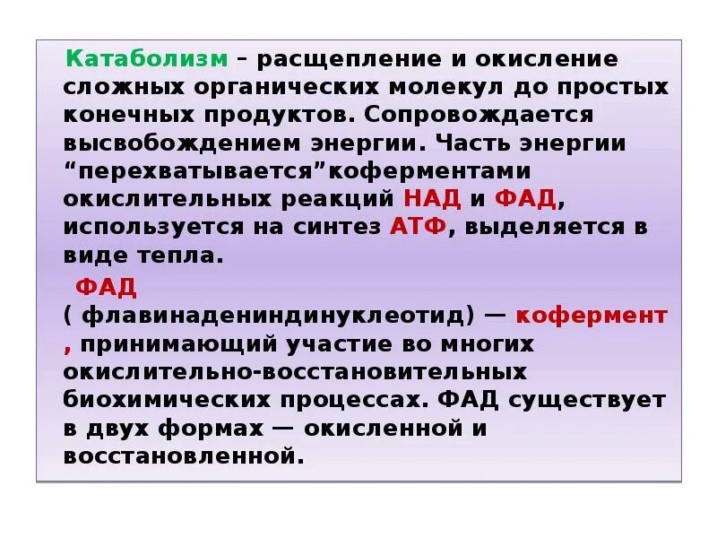 Процесс расщепления и окисления органических веществ