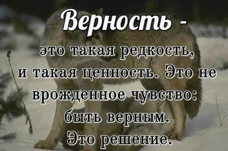 Нужно быть преданным