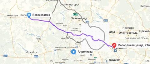 Руза шаховская