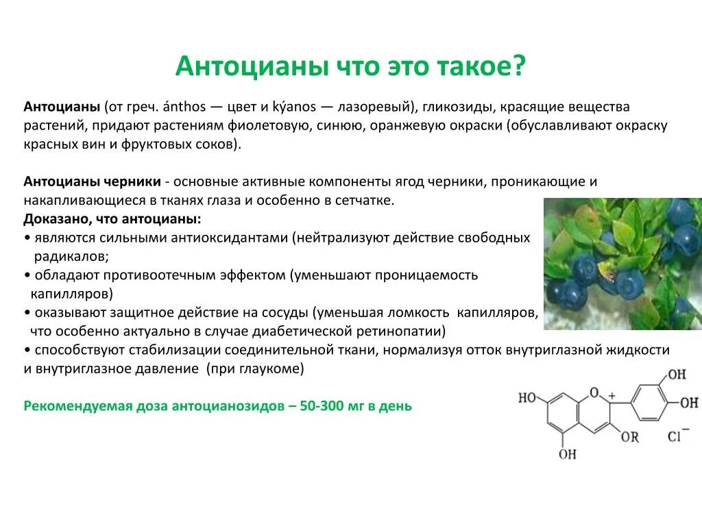 Накопление водорастворимых пигментов. Антоциан. Антоцианы в растениях. Антоцианы в продуктах. Пигмент антоциан.