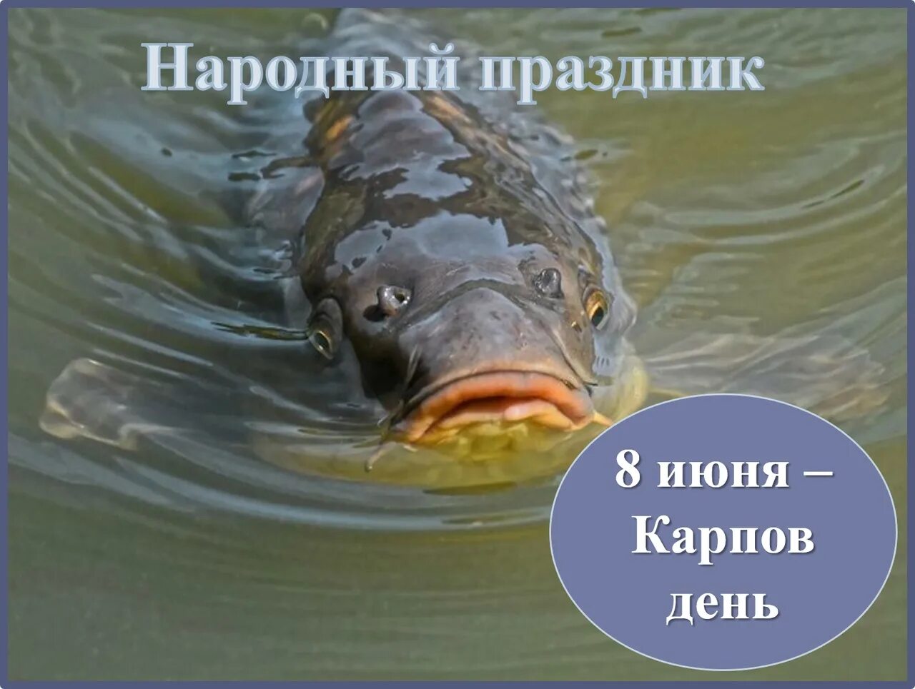 Приметы на 8 мая 2025