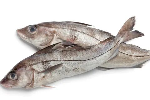 Путассу купить в Екатеринбурге цена от 117 рублей