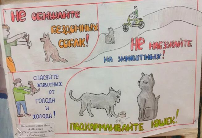 Творческая работа наши меньшие друзья. Плакат с животными. Плакат в защиту бездомных животных. Плакат о защите домашних животных. Плакат на тему защита животных.