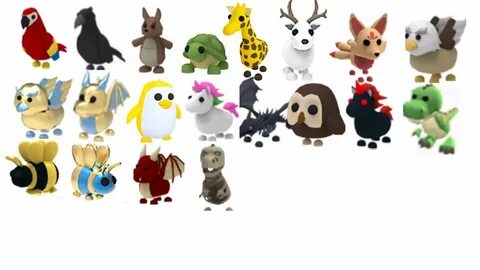 Pets made