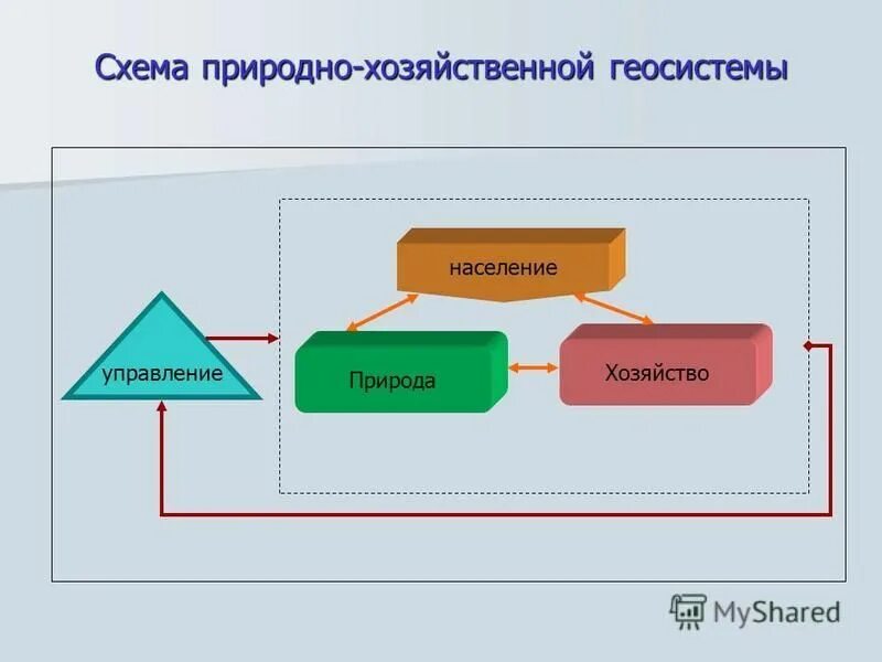 Из какой природно хозяйственной. Природные зоны восточно европейской. Природные зоны россии тундра и лесотундра. Природнохозяйственая зона. Из какой природно хозяйственной.