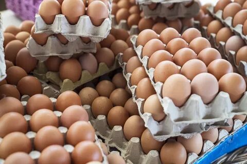 Egg farm
