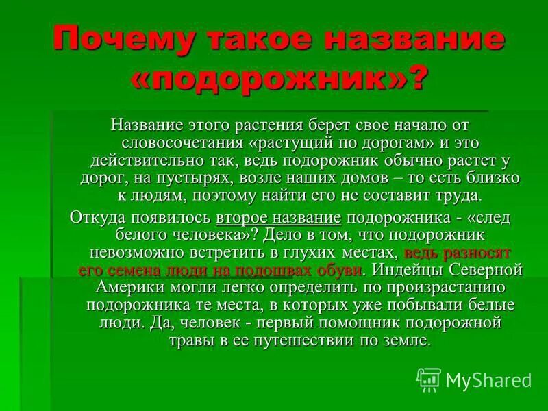 Почему подорожник так назван