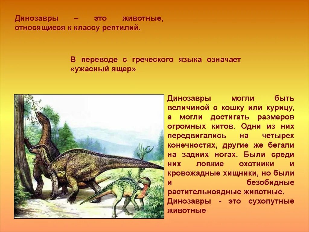 Динозавры относятся к классу. К какому классу относятся динозавры. Характеристики динозавров. Какие были динозавры.