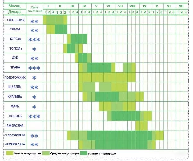 Календарь пыльцы. График цветения растений для аллергиков. Таблица аллергии на цветение. Календарь аллергика цветения растений-аллергенов. Календарь цветения для аллергиков Московская область.