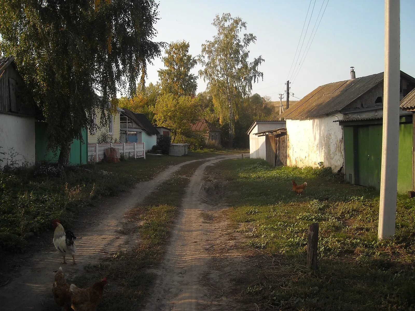 Деревня Дурнево Курская область. Мешково (Курская область). Курская область села и деревни. Села золотухиески района Курской ОЬЛ. Тазовский сельсовет золотухинского