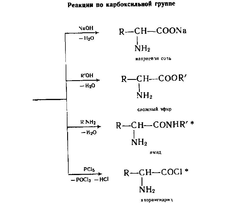 Реакции по карбоксильной группе. Реакции аминокислот по карбоксильной группе. Аминокислоты реакции по карбоксильной группе группе. Реакции по карбоксильной группе и аминогруппе. Реакции карбоксильной группы аминокислот.
