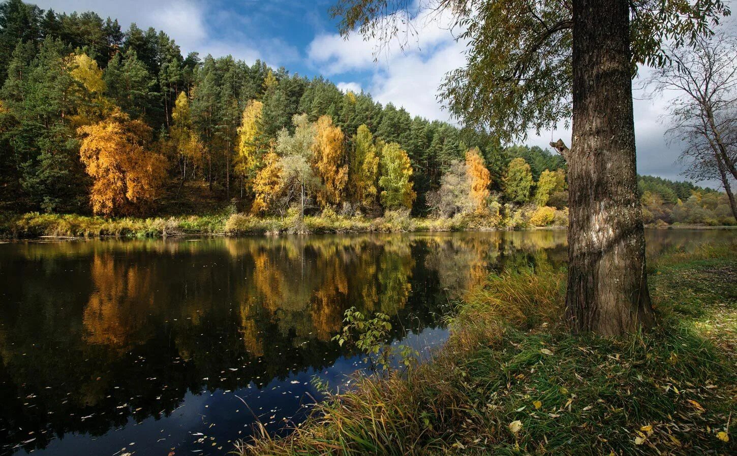 Осень звон. Природа Урала. Природа Урала осень. Осенний пейзаж природа Урала. Осенние пейзажи Урала.