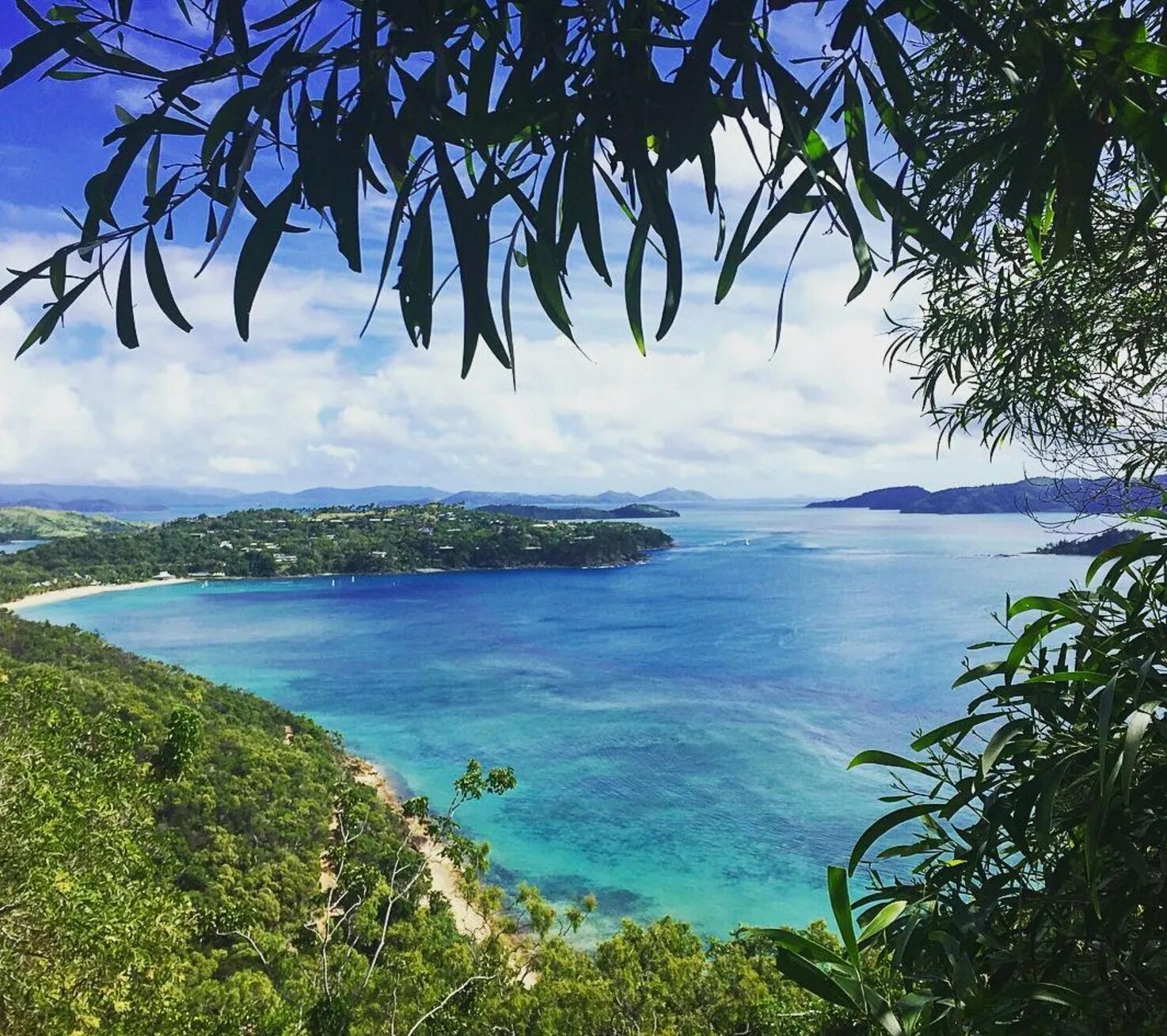 Остров Гамильтон Австралия. Hamilton Island Австралия. Таун Хилл Гамильтон. Гамильтон остров фото. Гамильтон остров