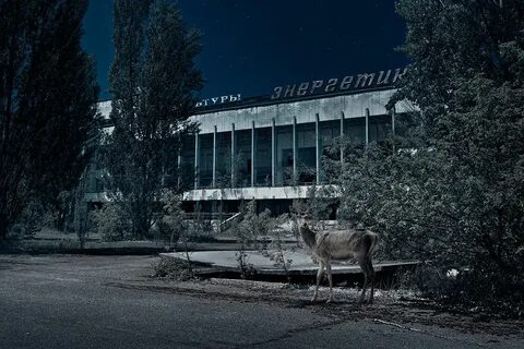 Припяти 2016