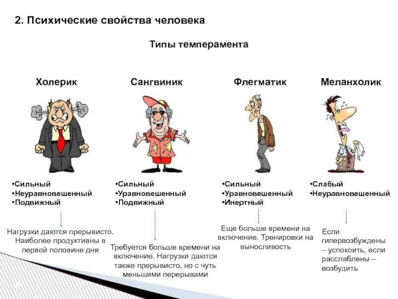 Отличаются в зависимости от. Типы людей по темпераменту психология. Типы личности в психологии по темпераменту. Психологический Тип личности сангвиник. Типы личности в психологии сангвиник.