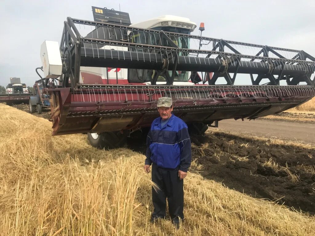 Уборка Совхоз им Кирова Труновский район. ЗАО Степное Ташлинский район. Уборка ячменя. ЗАО урожай.