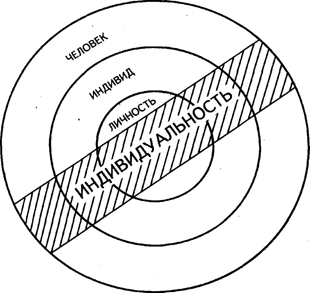 Соотношение понятий индивид личность индивидуальность. Взаимосвязь понятий индивид индивидуальность личность. Человек индивид личность взаимосвязь понятий. Соотношение объемов понятий «человек», «личность».