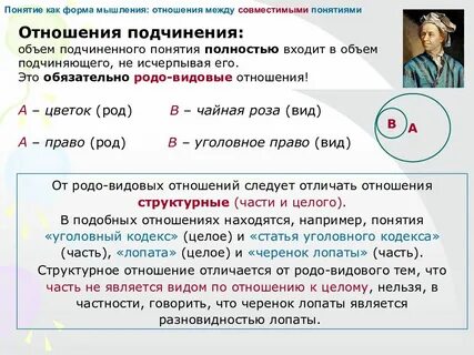 Подчиненный и подчиняющий термины