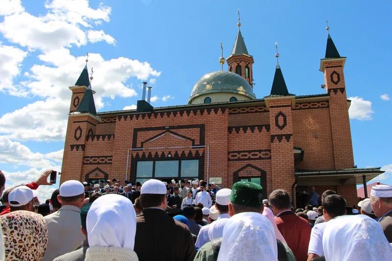 Самое большое татарское. Село средняя Елюзань мечети. Средняя Елюзань мечеть новая. Саратовская Соборная мечеть. Мечеть в Елюзани Пензенской области.