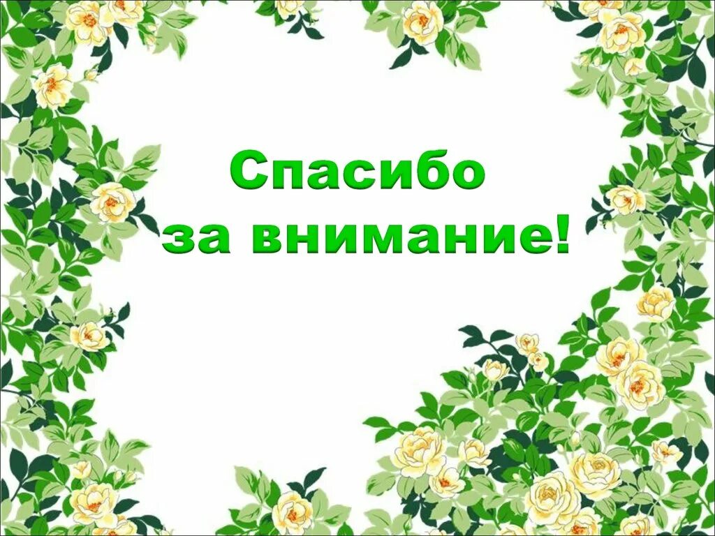 Спасибо скину. Спасибо за внимание в зеленом цвете. Спасибо за внимание растения. Спасибо за внимание цветочки. Спасибо за внимание зеленый фон.