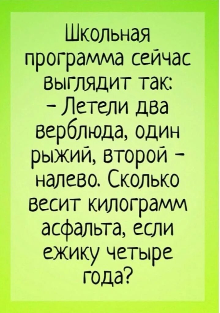 Анекдоты про школьников. Приколы про школу. Смешные цитаты. Шутки про школу. Шутки про школу картинки.